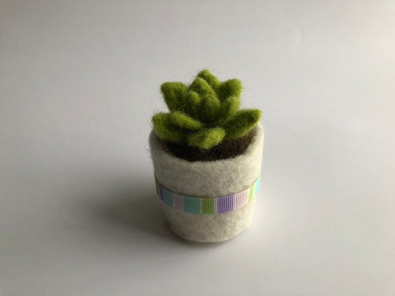 Needle Felted Succulent Plant With Pot Etsy