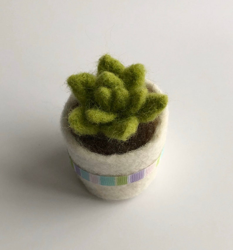 Needle Felted Succulent Plant With Pot Etsy
