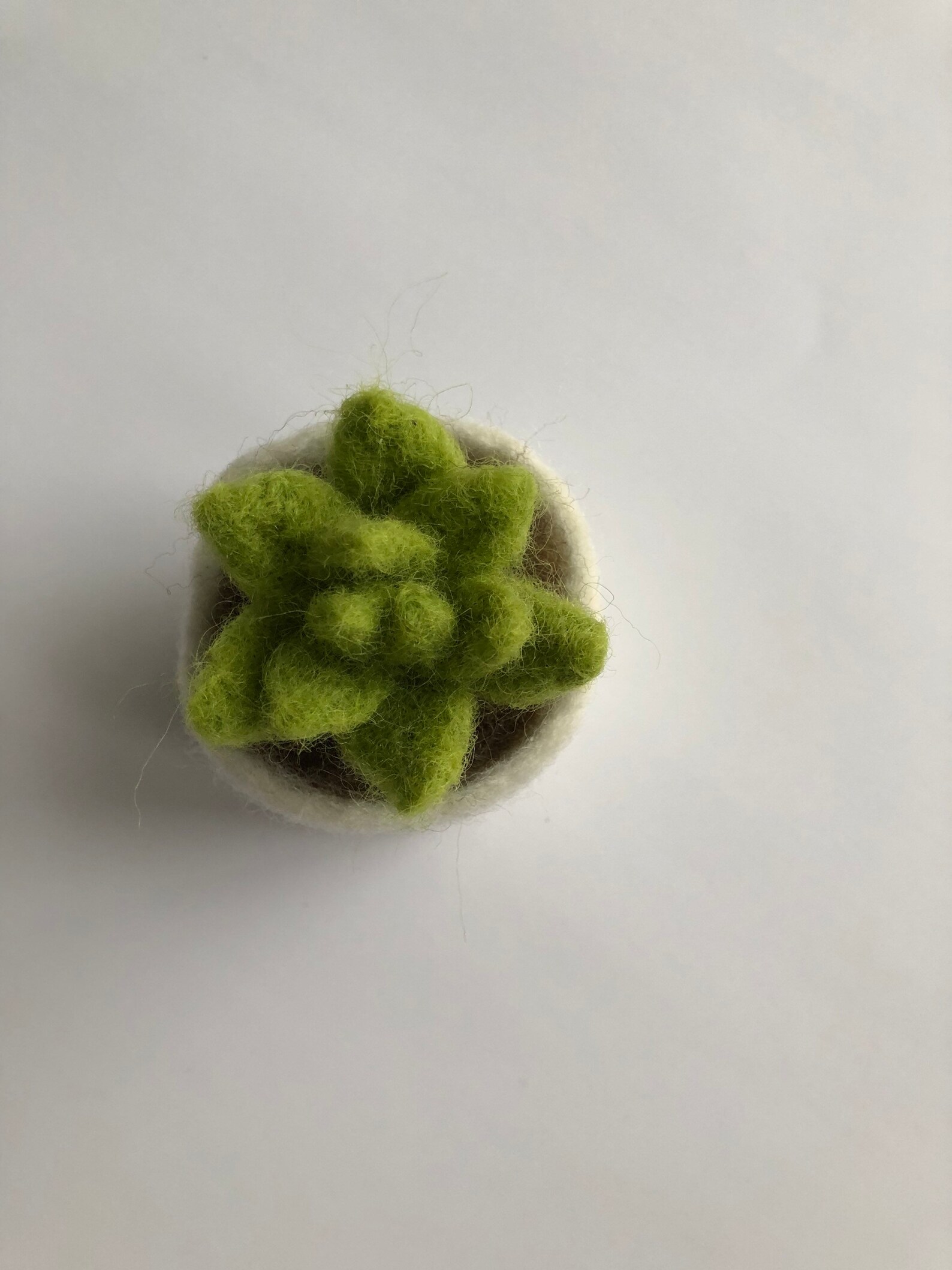 Needle Felted Succulent Plant With Pot - Etsy