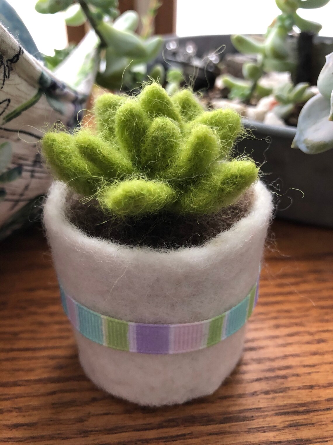 Needle Felted Succulent Plant With Pot Etsy