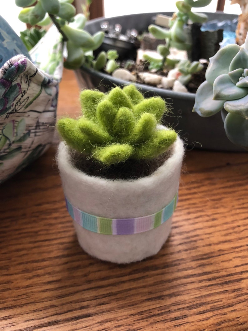 Needle Felted Succulent Plant With Pot Etsy