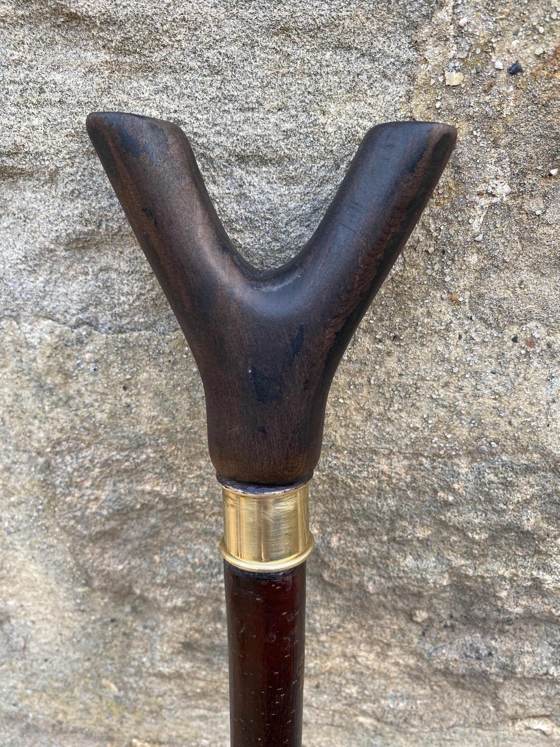 What Are Walking Sticks Called at Nick Johnson blog