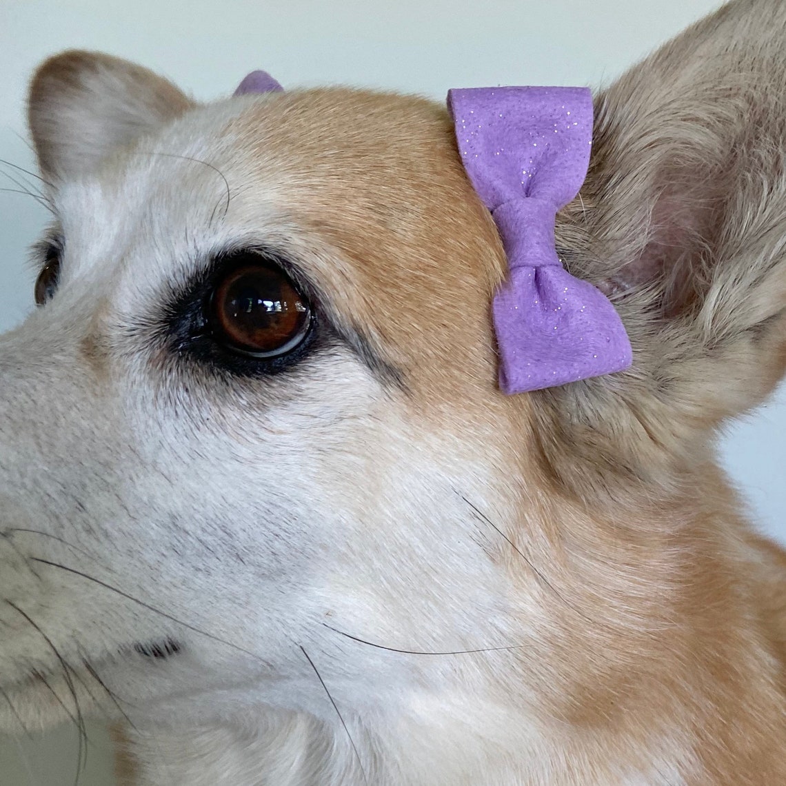 Sparkle Ear Bows for Puppy Dogs Etsy
