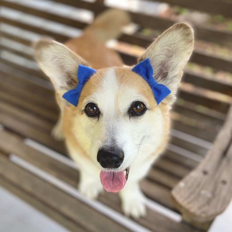 Classic Felt Ear Bows for Puppy Dogs Etsy