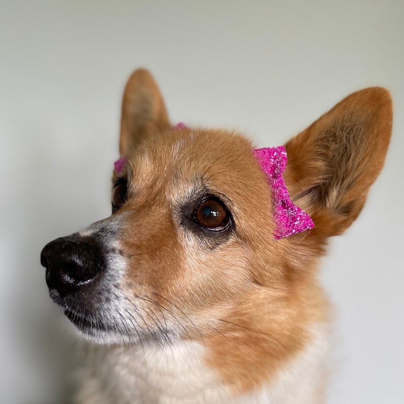 Glitter Ear Bows for Puppy Dogs Etsy