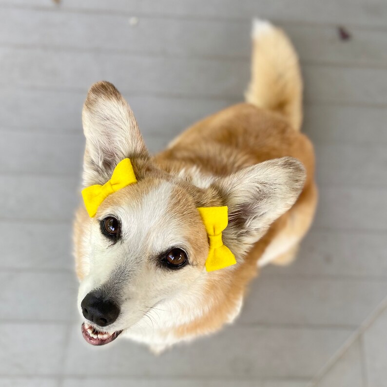 Classic Felt Ear Bows for Puppy Dogs Etsy