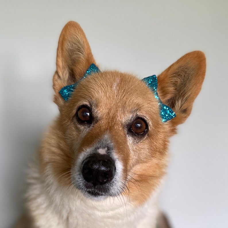 Glitter Ear Bows for Puppy Dogs Etsy