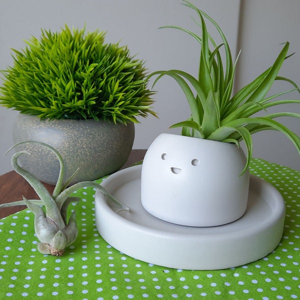 Mignon Happy Face Air Plant Holder - Petits pots succulents