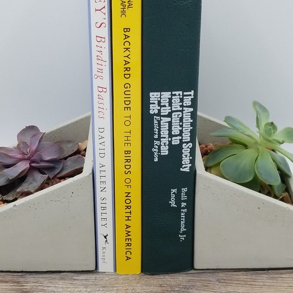 Ensemble de deux serre-livres - Jardinières d’extrémité de livre en béton