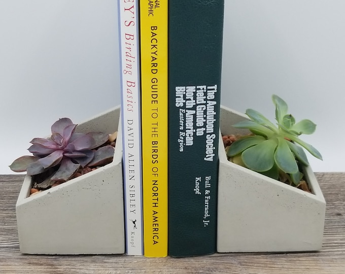 Set of Two Bookends Concrete Book End Planters Etsy