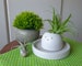 Cute Happy Face Air Plant Holder - Tiny Succulent Pots 