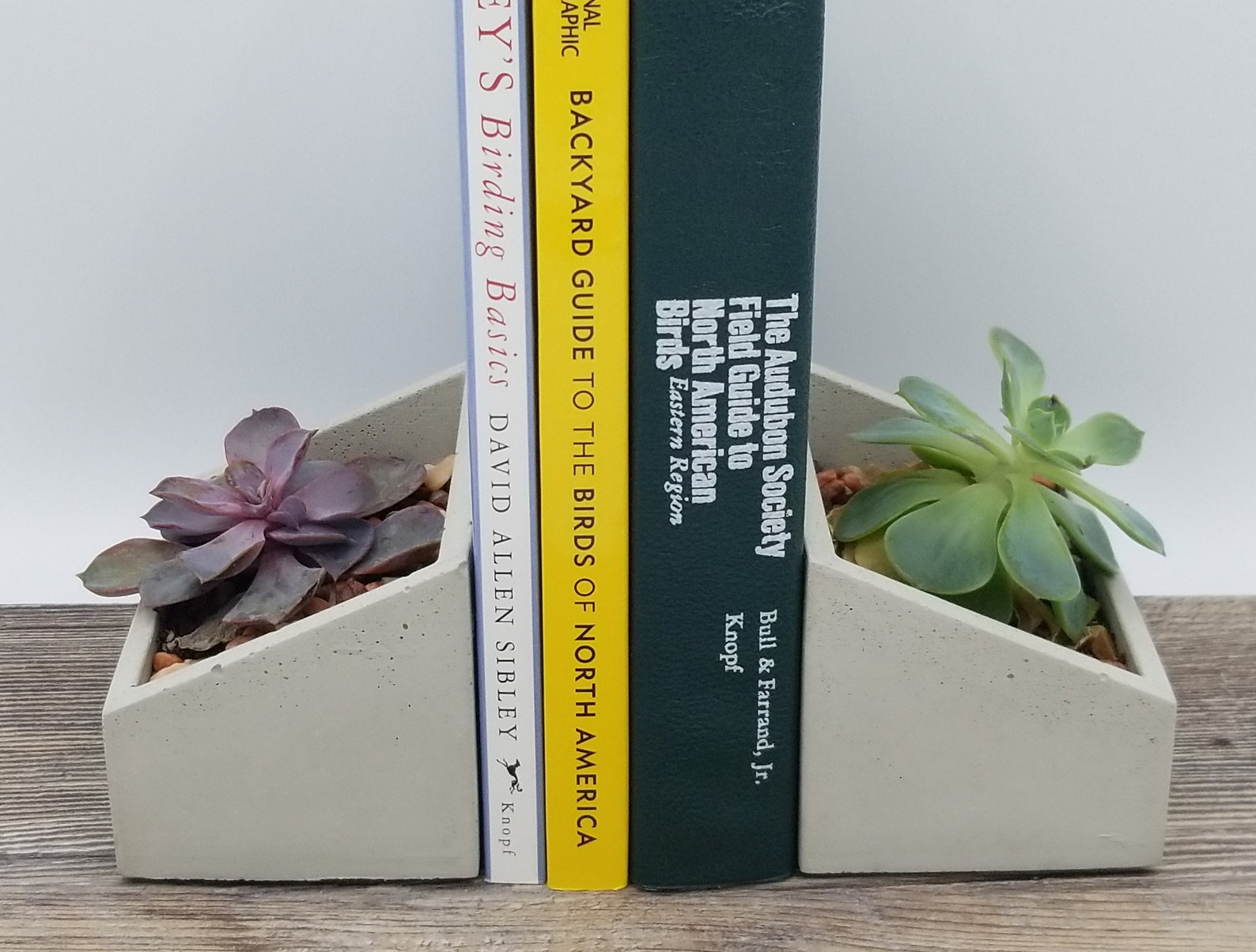 Concrete planter bookends