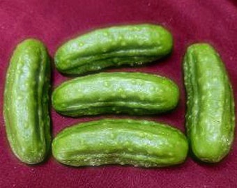 Large Fake Pickles, Wax Pickles, Prop Display Pickles, Pickle Embeds