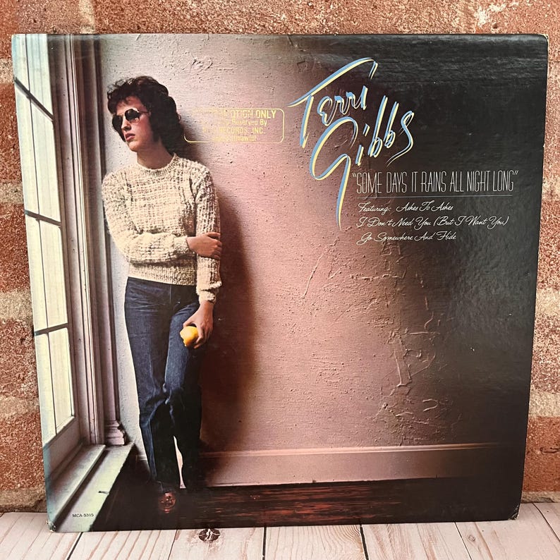 Terry Rains Terri Gibbs Some Days It Rains All Night Long 1982 US Pressing (promo ...