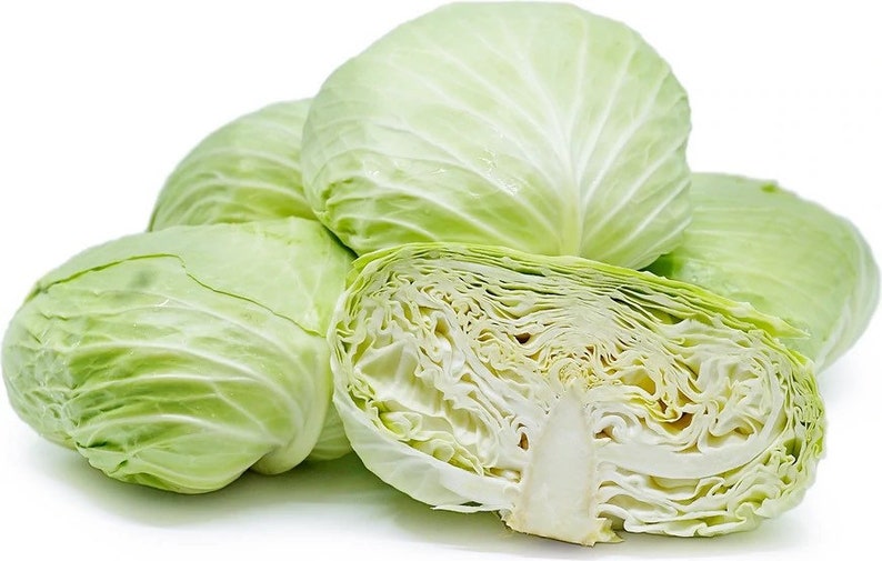 Taiwanese Green Flat Cabbage F1 Asian Flat Cabbage Seed Etsy