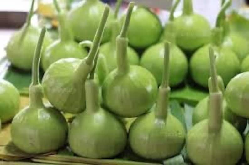 May include: A pile of green gourds with long stems. The gourds are arranged in a pyramid shape on a green leaf.