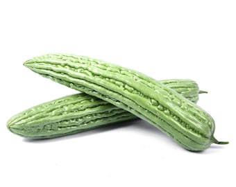 Bitter Gourd Seed | Bitter Melon Seed (OP)