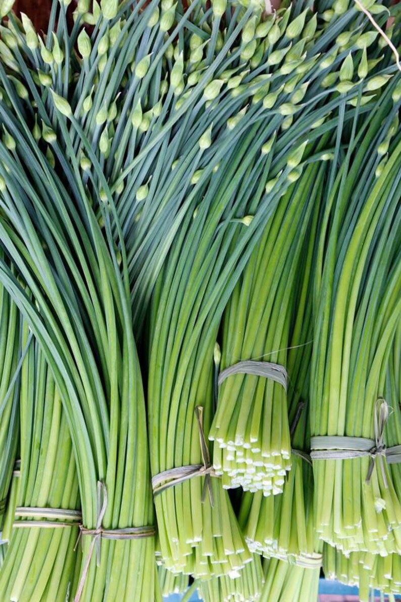 May include: A bunch of green garlic scapes tied together with twine. The scapes are long and slender with a slightly bulbous end.