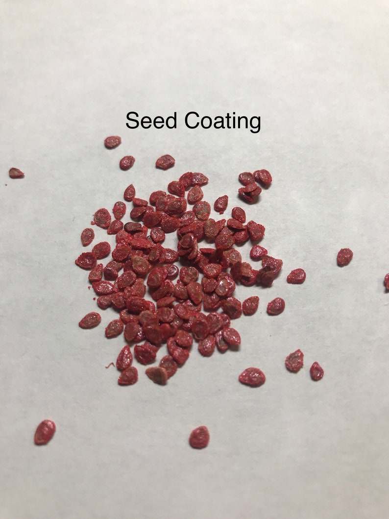 Puede incluir: Primer plano de un mont&oacute;n de recubrimiento de semillas rojo. Las semillas son peque&ntilde;as y redondas, y est&aacute;n recubiertas de un polvo rojo. El texto "Seed Coating" es visible en la parte superior de la imagen.