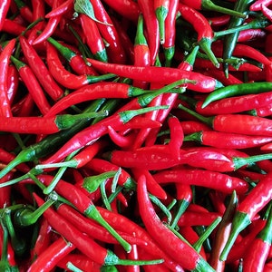 Thai Hot Pepper Seed | Jinda pepper seed