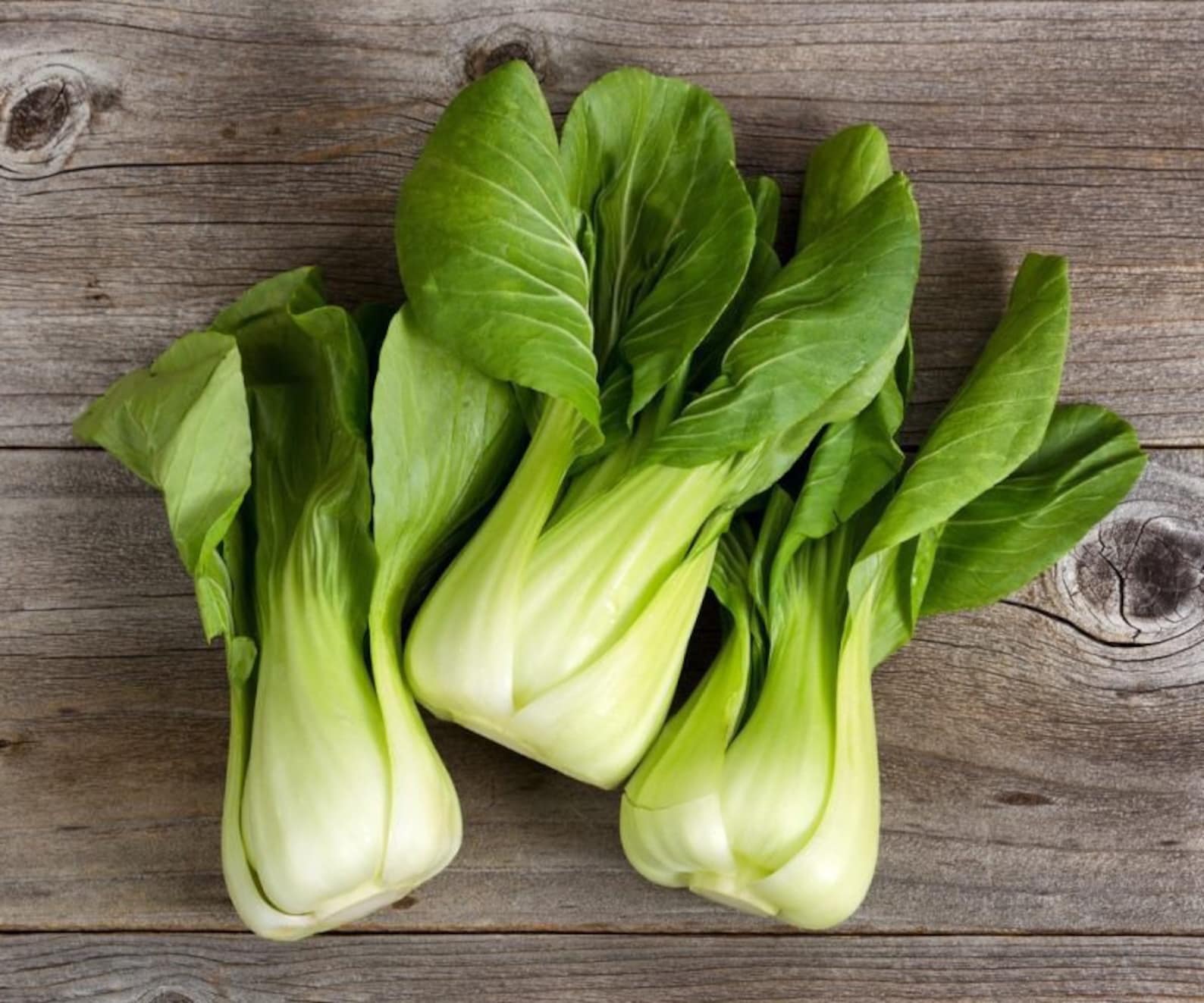Baby Bok Choy shanghai Bok Choy Pak Choi /100 Seeds Non Etsy
