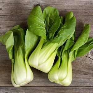 Baby Bok Choy Seed | Shanghai Pak Choi (OP)