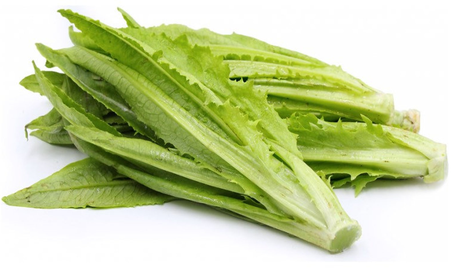 AA Choy Seed taiwanese Yu Mai Seeds Sword Lettuce Loose Etsy