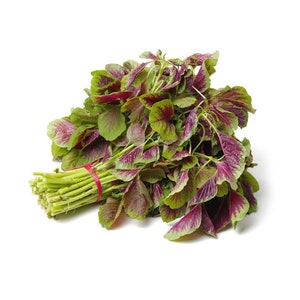 Red Striped Amaranth Seed | Yin Choi | Chinese Spinach