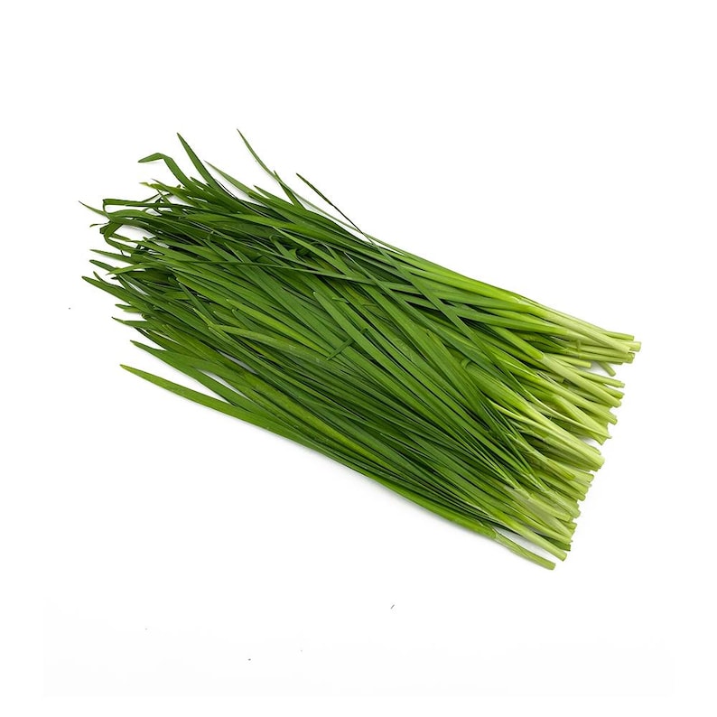 May include: A bunch of fresh green chives, a type of culinary herb, with long, thin leaves.