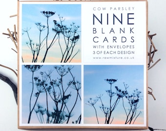 Box of 9 Small Cards - Cow parsley Collection