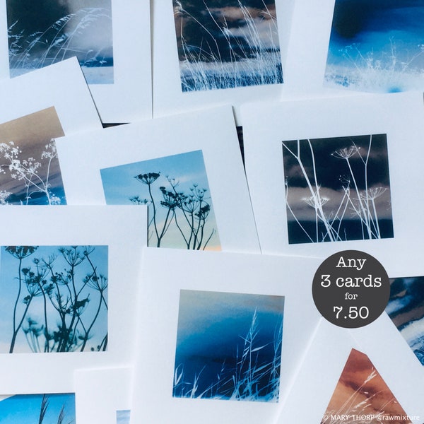 Individual blank square cards - Seagrass and Winter Trees Collection - choose 3 cards