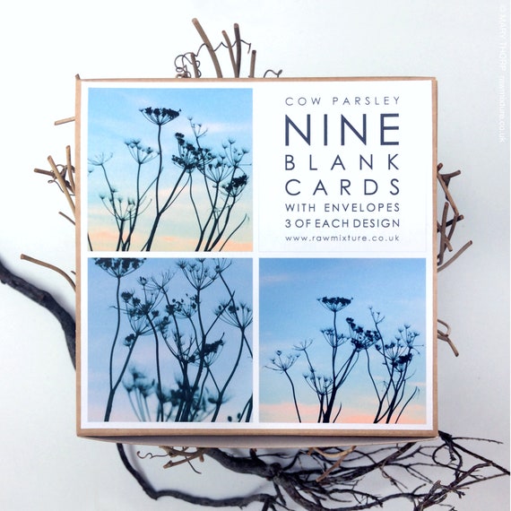 Box of 9 Small Cards - Cow parsley Collection