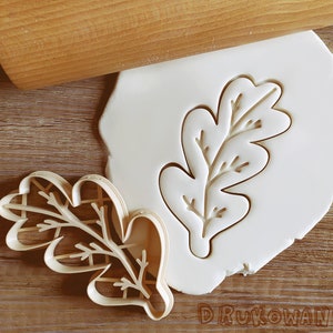 Feuille décorative, fleur, tulipe, roses, beau griffonnage, mignon, emporte-pièce, pâtisserie, fondant, pâte, biscuit