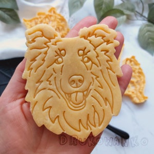 Shetland Sheepdog Testa intera Sheltie Collie Cane Cagnolino Animale domestico Cookie Cutter Pasta Fondente Pasta Biscotto