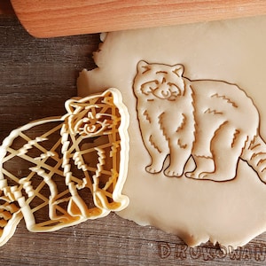 Raccoon Racoon Full Body Wild Animal Sweet Comic Animation Forest Pet Cookie Cutter Pastry Fondant Dough Biscuit Kitchen Present
