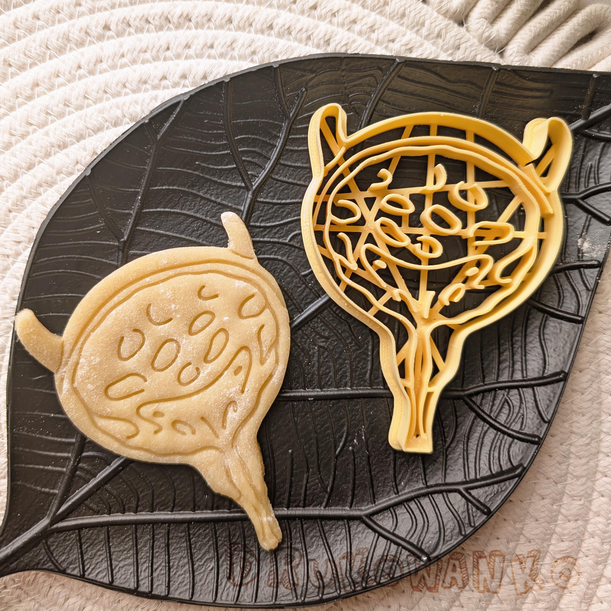 Bladder Human Body Blister Sac Medicine Biology Internal Organ Cookie ...