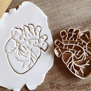 Heart Medicine Body Cookie Cutter Pastry Fondant Dough Biscuit