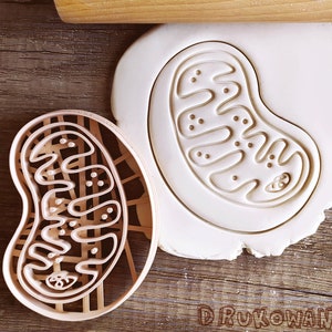 Mitochondrion Cell Biology Medicine Chemisty Body Nature Human Natural Flower Wood Cookie Cutter Pastry Fondant Dough Biscuit