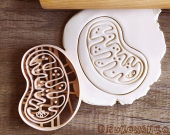 Mitochondrion Cell Biology Medicine Chemisty Body Nature Human Natural Flower Wood Cookie Cutter Pastry Fondant Dough Biscuit