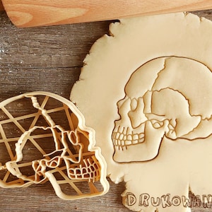 Anatomisch Richtige Schädel Biologie Menschlicher Körper Medizin Kiefer Zähne Zahn Anatomie Cookie Cutter Gebäck Fondant Teig Keks