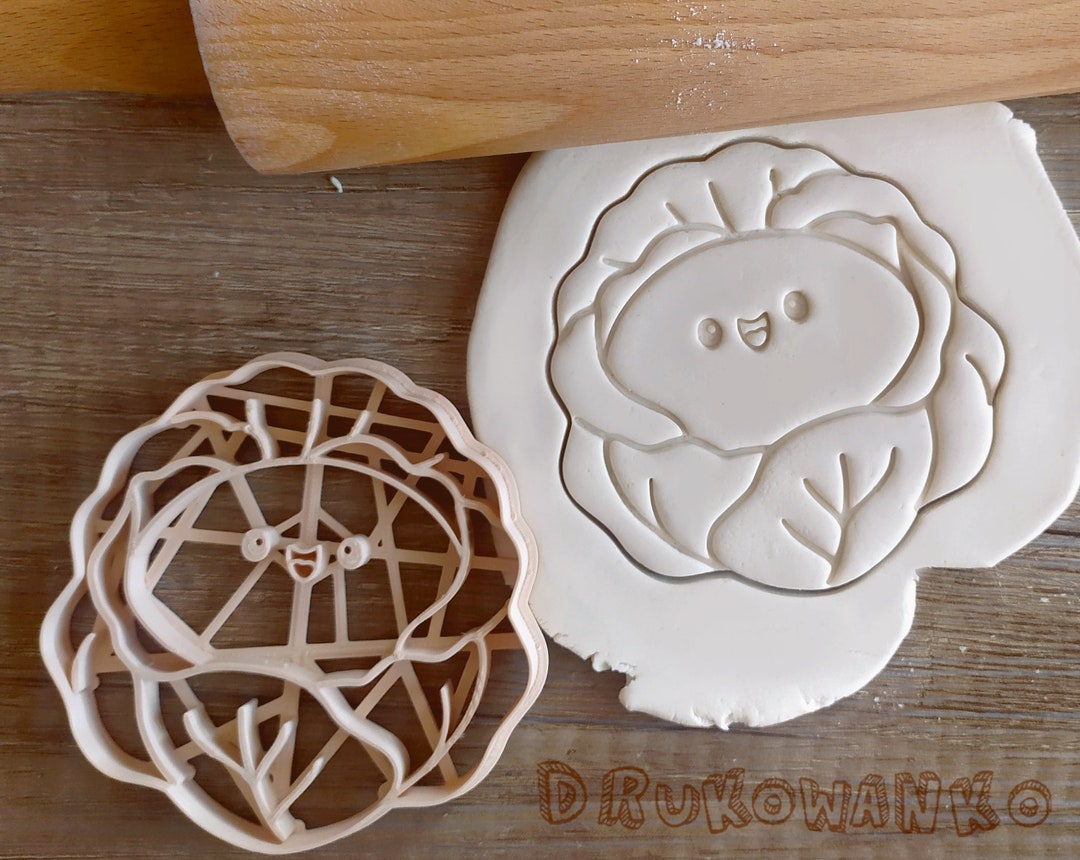 Cabbage Cole Healthy Fresh Sweet Food Vegetable Farm Village