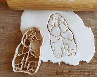 Set of Marmot Whistler Beaver Animal Animals Sweet Pet Cookie Cutter Pastry Fondant Dough Biscuit