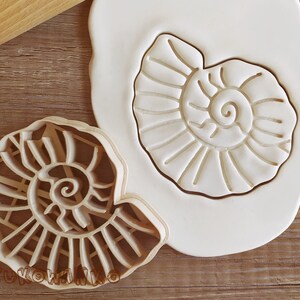 Può includere: Un tagliapasta in plastica bianca a forma di conchiglia di nautilus. Il tagliapasta è mostrato su una superficie di legno ed è stato premuto in un pezzo di pasta di zucchero bianca.