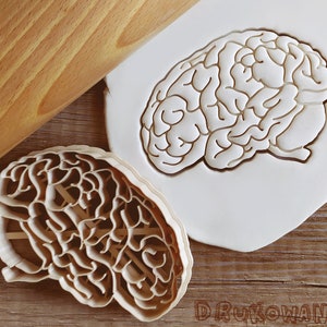 Brain Medicine Body Cookie Cutter Pastry Fondant Dough Biscuit