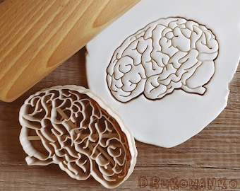 Cerebro medicina cuerpo cortador de galletas pastelería fondant masa galleta