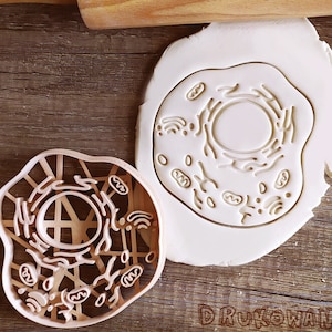 Animal Cell Biology Medicine Chemisty Body Nature Human Natural Flower Wood Cookie Cutter Pastry Fondant Dough Biscuit