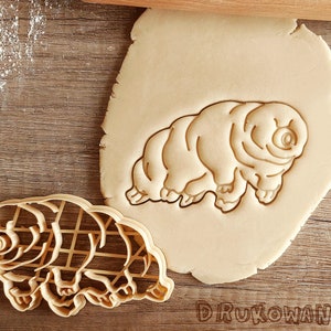 Tardigrado Acqua Orso Muschio Maialino Insetto Phylum Biologia Chimica Scienza Spazio Tagliapasta Pasta Fondente Pasta Biscotto