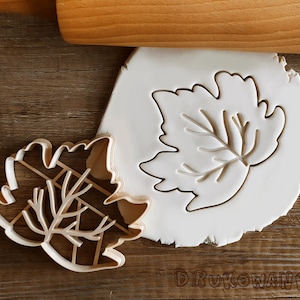 Blatt Blätter Herbst Sommer Frühling Herbst Winter Ahorn Birke Pflanze Ausstechform Gebäck Fondant Teig Keks