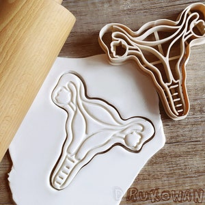 Uterus Medicine Body Cookie Cutter Pastry Fondant Dough Biscuit