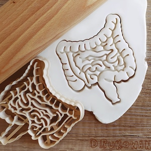 Intestines Guts Medicine Body Cookie Cutter Pastry Fondant Dough Biscuit
